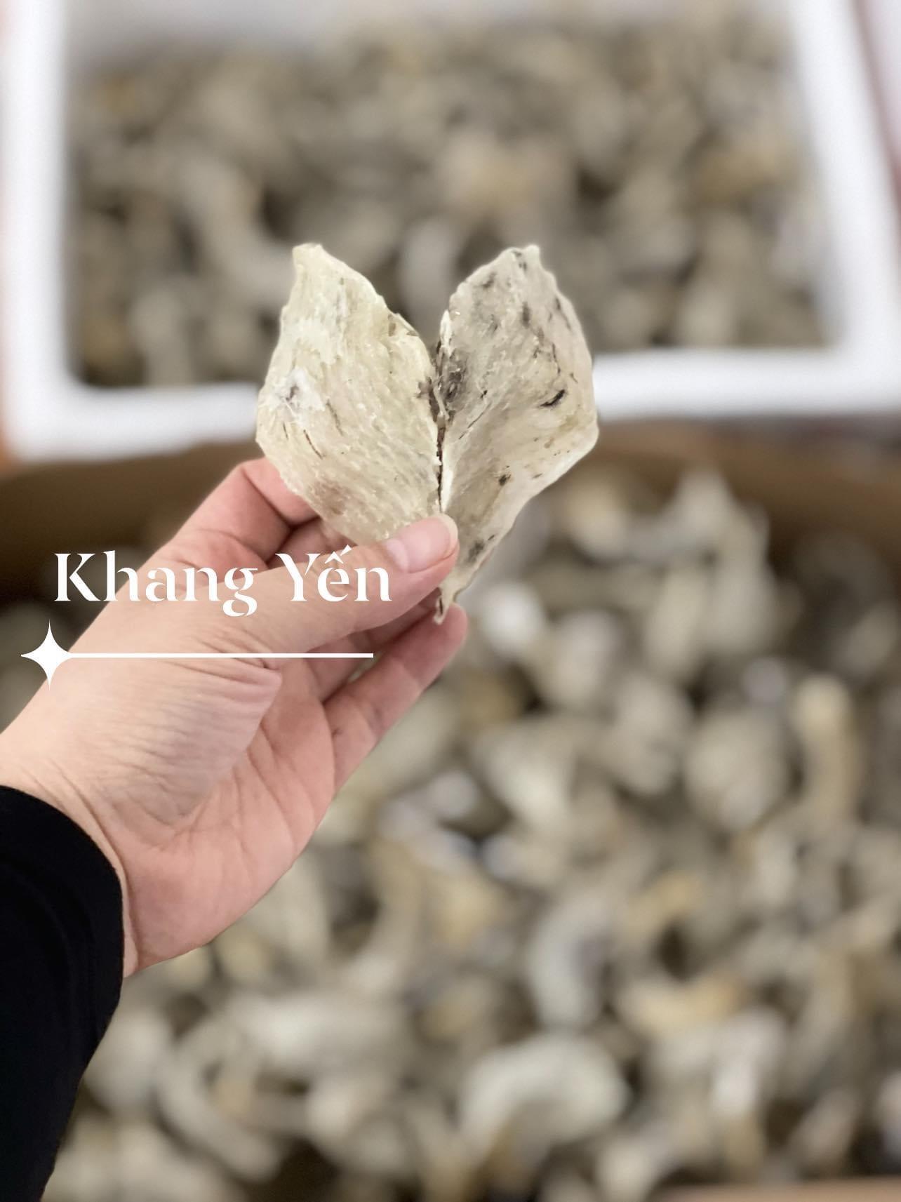 Tổ yến thô thượng hạng